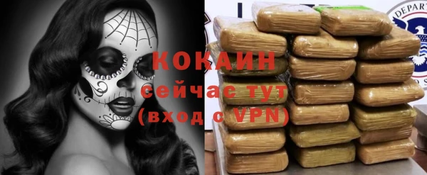 винт Нягань