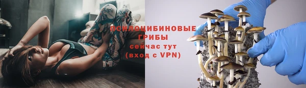 ПСИЛОЦИБИНОВЫЕ ГРИБЫ Нязепетровск