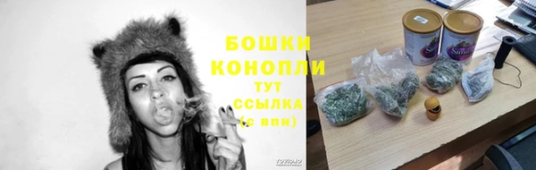 ПСИЛОЦИБИНОВЫЕ ГРИБЫ Нязепетровск