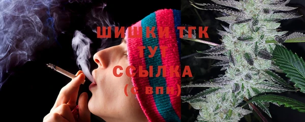 винт Нягань