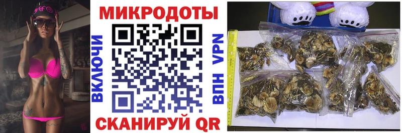 Галлюциногенные грибы мицелий  Нестеровская 